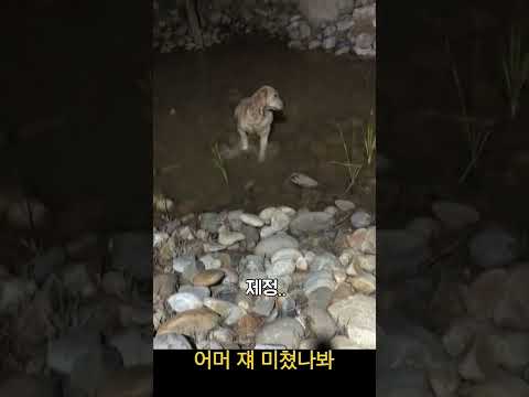 어머 쟤 미쳤나봐