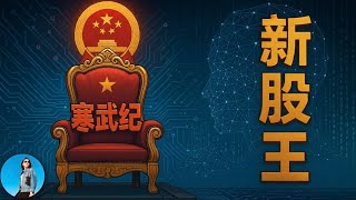 A股新股王寒武紀背後的資本魔術：要割就割習近平！綁架了指數，這韭菜要怎麼割？｜小翠時政財經 20250827#768