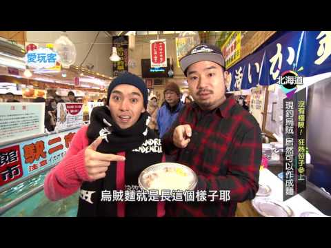 【北海道 日本】日本人最自豪的海鮮！來北海道必吃「烏賊沙西米」【週三愛玩客】#257精彩回顧
