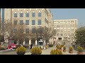 Vietnamese Department Overview and Insights