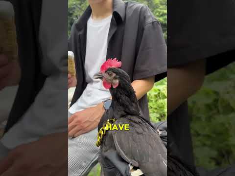 I Love You My Hen ๐๐ฐ~ mini wood toy-wood working art skill wood / hand crafts / #shorts