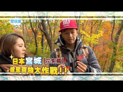 【花絮】週一愛玩客【滿山楓葉美不勝收】20151207