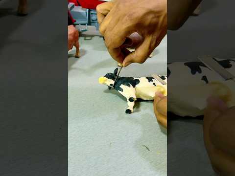 Cow Eid Mubarak