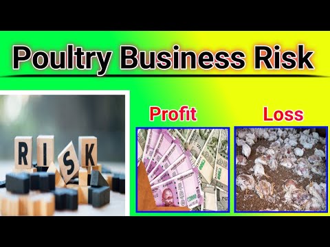 114 Risk In Poultry Farming ||  पौल्ट्री फार्मिंग मे रिस्क || Loss in Poultry || ‎@poultrywala