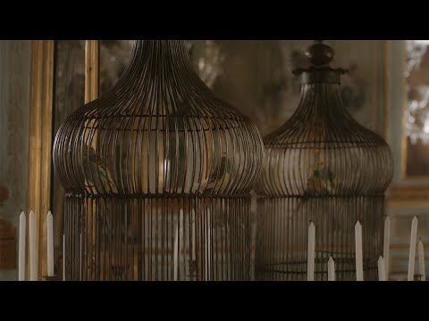 LIBERATO - 'NA STORIA 'E 'NA SERA