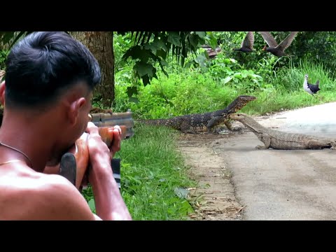 BERBURU BIAWAK JUMBO PEMAKAN KAMBING dan NYANGGONG BURUNG SAWAH‼️