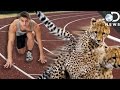 Human Evolution and Endurance Traits