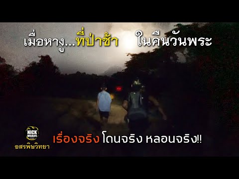 โดนเข้าแล้ว !!! เมื่อหางู ที่ป่าช้า ในคืนวันพระ!!! อสรพิษวิทยา ตอนพิเศษ