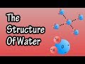 Exploring the Structure and Properties of Water