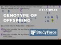 Genetic Probability and Dihybrid Crosses