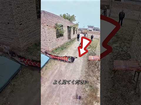 その犬は跳び上がってリングを引き抜いた。🐕