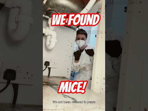 This Kitchen Hasn't Been Cleaned In Years!