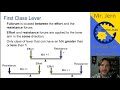 Mechanical Advantage and Simple Machines