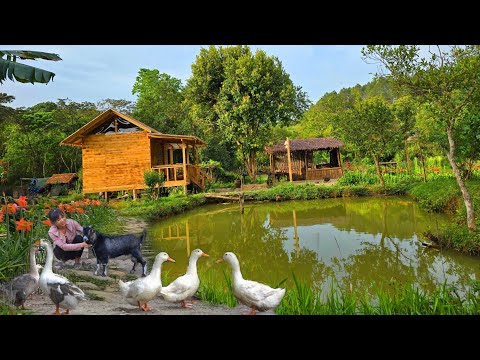 90 Days in the Forest: Building a Bamboo Kitchen and Wooden Stilt House, Gardening & Animal Care