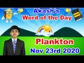 Vocabulary and Language Origins