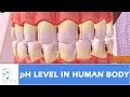 Understanding pH in Everyday Life