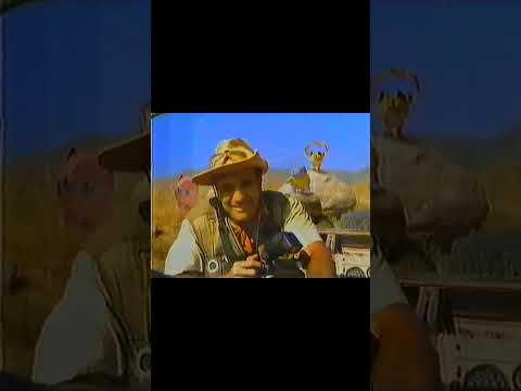 1999 Pokémon Snap Nintendo N64 Video Game Commercial Short