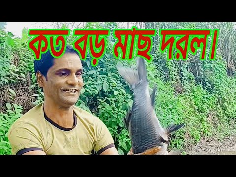 এত বড় মাছ কিভাবে দরল |