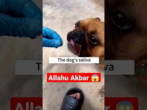 Ye Video Gor Se Dekhye ? | Nabi SAW Ka Farman | Viral Video #viralvideo #shortfeed #tranding