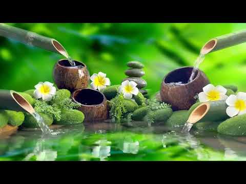 Relaxing Piano Music + Insomnia and Healing 🌿 Relaxing Music, Sleep Music, Meditation, Nature Sound