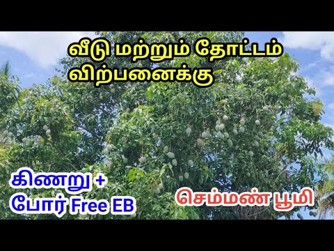 தேசிய நெடுஞ்சாலை அருகில் அருமையான தண்ணீர் வசதியுடன் கூடிய அழகிய விவசாய நிலம் விற்பனைக்கு Agri Land