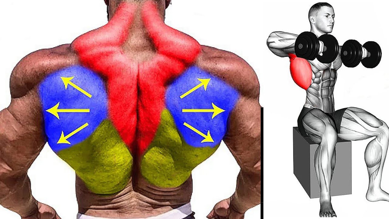 Most Advance Back Workout Routine to Perfect Back