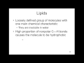 Phospholipids and Protein Functions