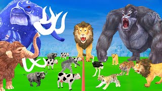 5 Mammoth Elephant Cow Gorilla vs Giant Tiger Lion vs Fight For Tiger Cub Buffalo Elephant vs Tiger