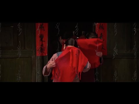 Nushu & I ( 我与女书 )