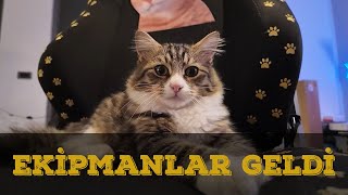 SON DURUMLAR - IWAGUMİ AKVARYUMU