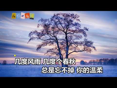 李英  相思的苦酒 KTV