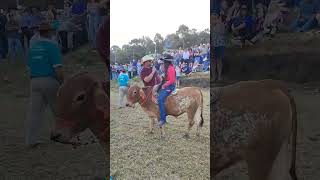 #vidanaroça #pecuarista #fazenda