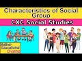 Understanding Social Groups