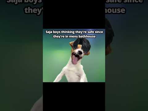 how are they even real  #comedyvideos #funnyshorts #funny #kpopdemonhunters #cat