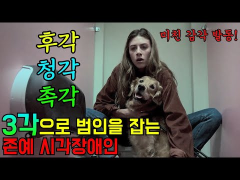 눈이 안 보인다고 무시했더니 형사들 보다 수사를 더 잘하는 코난급 시각장애인..! 나중엔 형사들이 부탁함ㅋㅋㅋ미친 반전의 드라마[인더다크 시즌1 한방에 몰아보기]