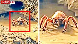 Disturbing Discoveries Made On Mars That Were Quietly Covered Up