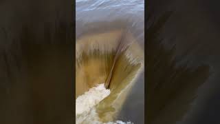 The Forestville Dam in Forestville, Wisconsin ￼
