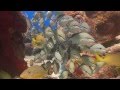 Ocean Acidification and Marine Ecosystems