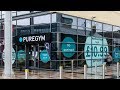 Pure Gym Revenue and Growth Analysis