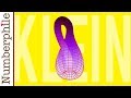 Understanding Topology and Klein Bottles
