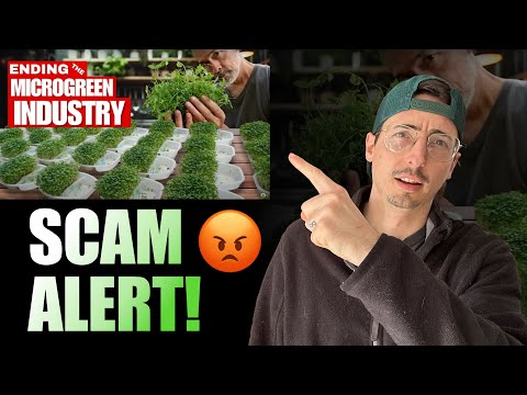 Exposing the microgreens industry as a sham RESPONSE