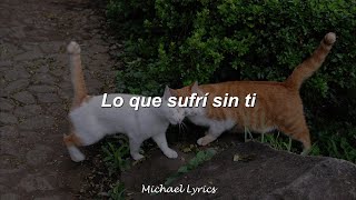 Enjambre - Vínculo | Lyrics/Letra