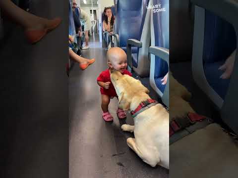 Train Ride Buddies! Toddler's Giggles & Playful Pup Melt Hearts