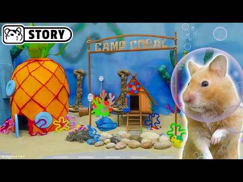 Hamsters in the Underwater World of Spongebob 🔵 Homura Ham