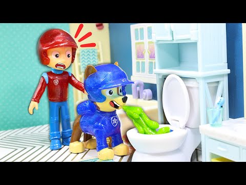 Paw Patrol Wellness Routine | Paw Patrol Toys