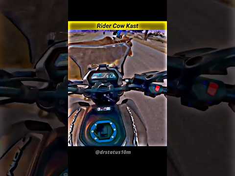 Rider Cow Crash😢Dominar 400 Destroyed in seconds #Cow is safe#bike #crash #domcow videosdominar 400