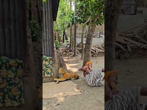 Epic Best Fake Tiger Sighting Prank โ Their Reactions Are Priceless!