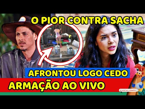 🔥GRUPÃO ARMA O PIOR CONTRA SACHA e EXPOSED AO VIVO; MANHÃ TENSA e AFRONTA de Luana; Babi DESISTE?