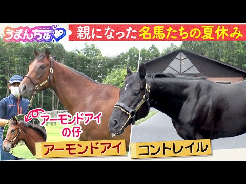 【永久保存版】引退した名馬の㊙エピソード大公開！