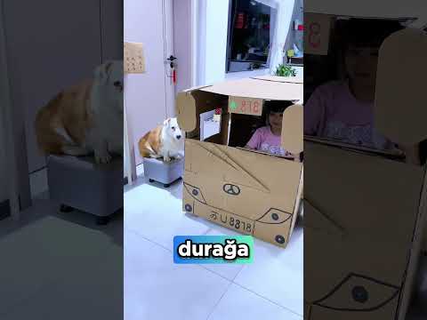 Evde Harika Bir OYUN Fikri! 😍